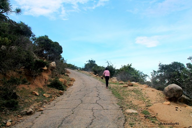 Nắng gió ở Mũi Dinh - Ninh Thuận - Hình 10