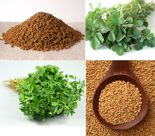 Ham hố ngực nở, quý bà NẶNG MÙI CƠ THỂ vì uống bột cỏ ca ri - Hình 1