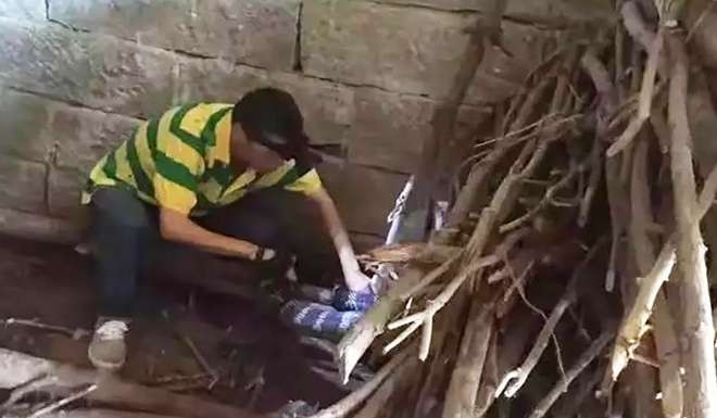 TQ: Đi đêm về gặp mãng xà khổng lồ cực độc ngoài cửa - Hình 2