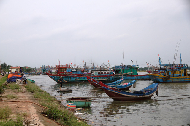 Ngư dân tìm nơi trú ẩn an toàn, tranh thủ bán cá - Hình 1