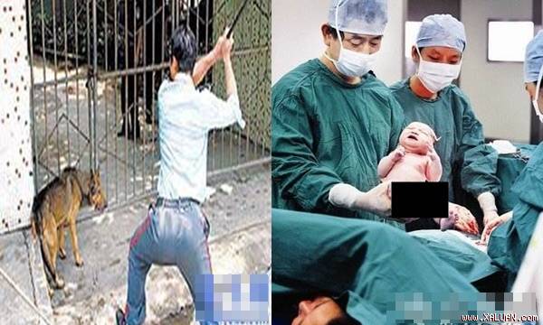 Vợ đang mang bầu thì bị chó cắn, chồng đánh chết con chó rồi vứt xác xuống sông - Hình 1