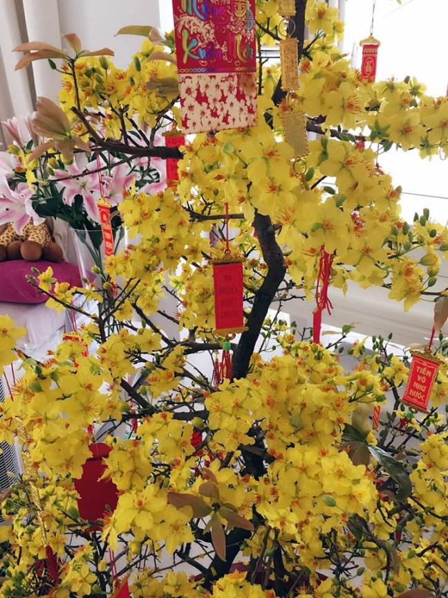 Thủy Tiên khoe chồng đảm đang lau nhà sạch bóng như gương đón năm mới - Hình 3