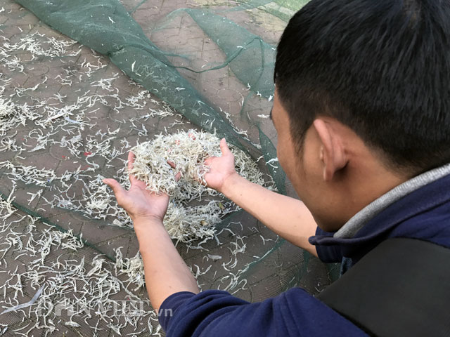 Cá mồm sữa xứng tầm đặc sản của đặc sản - Hình 6