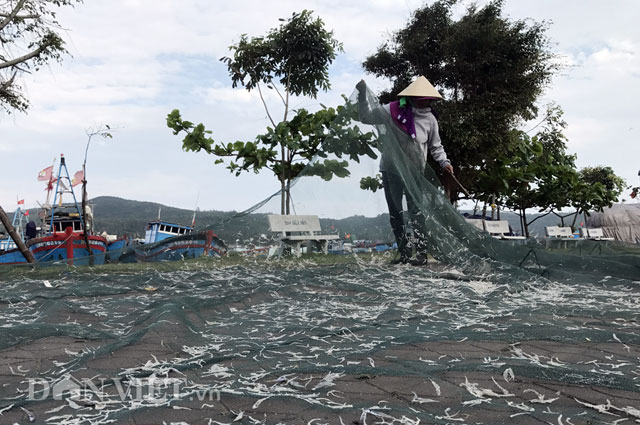 Cá mồm sữa xứng tầm đặc sản của đặc sản - Hình 2