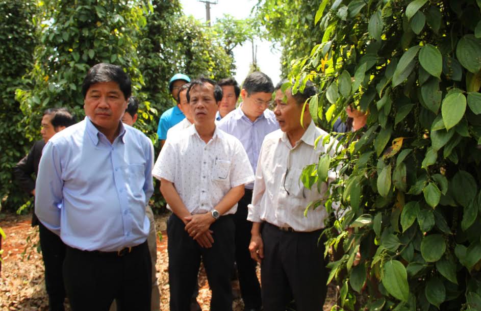 Cần xây dựng quy trình ít chi phí nhất cho nông dân - Hình 1