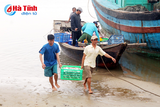 Hà Tĩnh: Bỏ lại sự cố Formosa, những con tàu lại vươn khơi xa - Hình 1