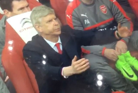 CĐV Arsenal đánh nhau trên sân Emirates - Hình 4
