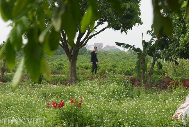 Nghẹn lòng hình ảnh bố bé gái người Việt trước phần mộ con gái - Hình 1