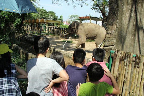 Tết Dương lịch: Biển người đông như nêm trong các khu vui chơi - Hình 4