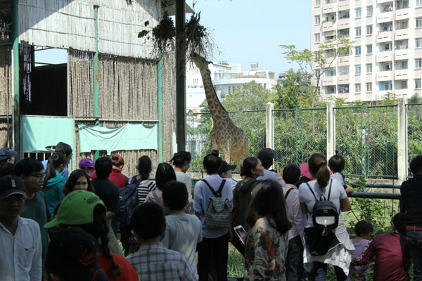 Tết Dương lịch: Biển người đông như nêm trong các khu vui chơi - Hình 3