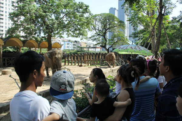 Tết Dương lịch: Biển người đông như nêm trong các khu vui chơi - Hình 2