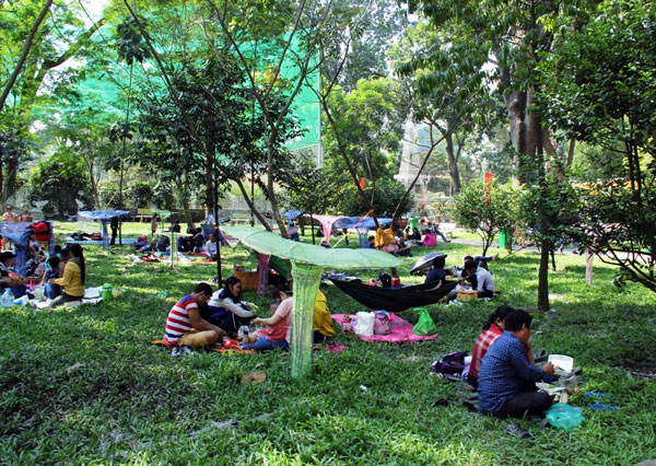 Tết Dương lịch: Biển người đông như nêm trong các khu vui chơi - Hình 19