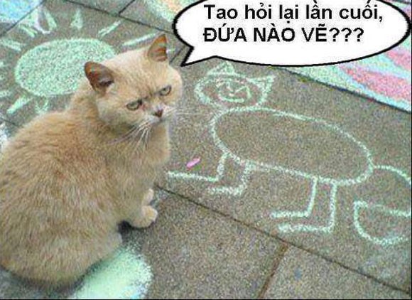 Ảnh chế hài hước - vui nhộn để cmt Facebook (Phần 1) - Hình 13