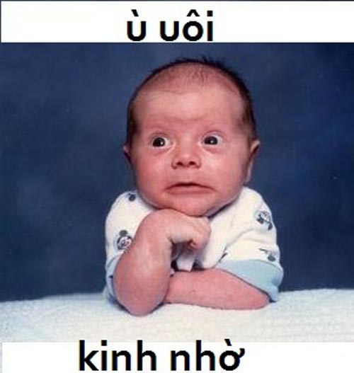 Ảnh chế hài hước - vui nhộn để cmt Facebook (Phần 2) - Hình 12