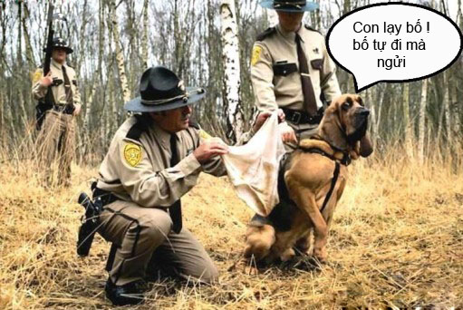 Ảnh chế hài hước - vui nhộn để cmt Facebook (Phần 2) - Hình 14