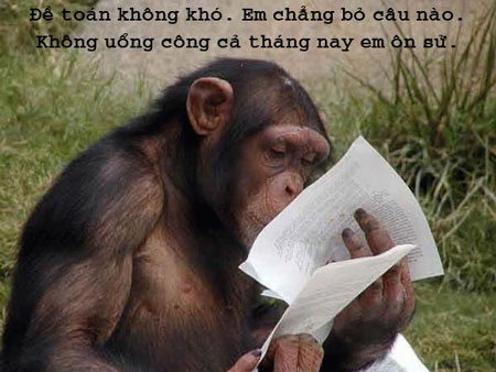 Cười nghiêng ngả với những ảnh chế cực độc - Hình 12
