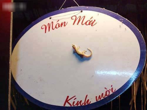 Cười rụng rốn với những hình ảnh bá đạo chỉ có ở Việt Nam - Hình 6