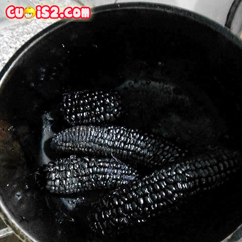 Tổng hợp những hình ảnh hài hước, bá đạo về món ăn - Hình 10
