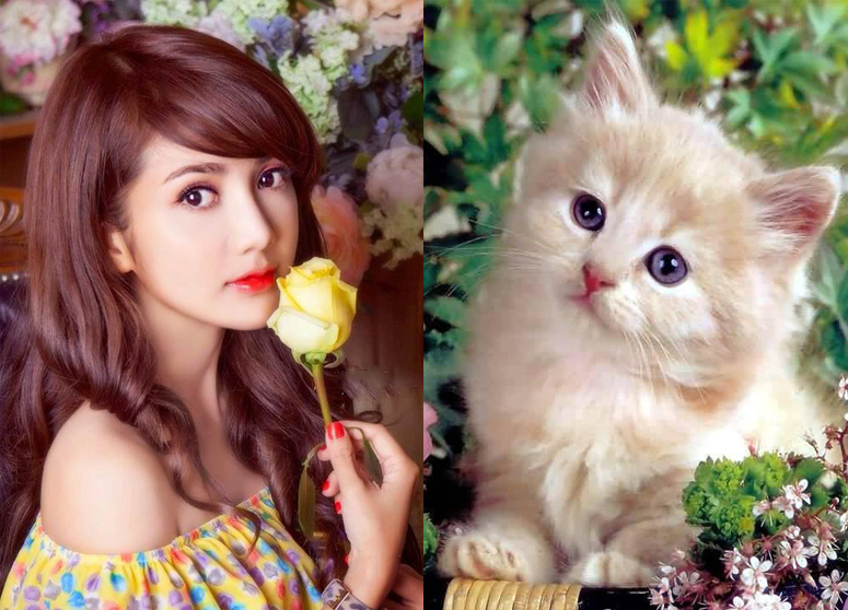 Top 3 con giap TAI LÔC trai đây khăp lôi chân đi, mơ cưa la ĐUNG TIÊN trong suôt năm 2019 - Hình 3