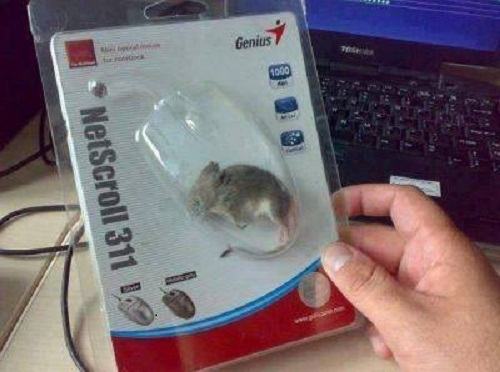 Chuột máy tính: Nếu bạn đam mê công nghệ và thiết bị điện tử, hãy đến với bộ sưu tập hình ảnh chuột máy tính của chúng tôi. Những hình ảnh này sẽ giúp bạn tìm kiếm chuột hoàn hảo để phù hợp với nhu cầu của mình.