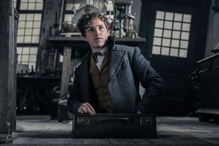Fantastic Beasts 2 đạt điểm số thấp nhất trong loạt phim Harry Potter trên Rotten Tomatoes - Hình 7