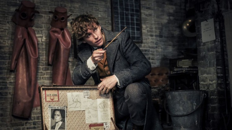 Giới phê bình Mỹ chê 'Fantastic Beasts 2': Thú vị nhưng tối nghĩa và thiếu mạch lạc - Hình 2