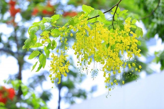 Tử vi tuần mới (12/11 - 18/11) của 12 cung hoàng đạo: Song Tử đỏ vận, Bảo Bình cẩn thận tài chính - Hình 1