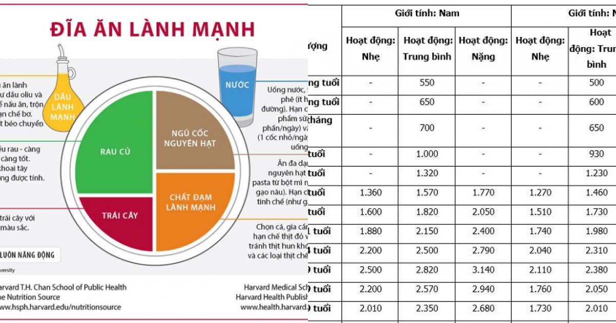 Táº§m Quan Trá»ng Cá»§a Nhu Cáº§u Dinh DÆ°á»¡ng Khuyáº¿n Nghá»‹ Sá»©c Khá»e Viá»‡t Giáº£i Tri