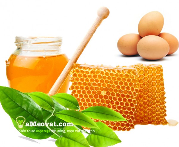6 cách làm trắng da bằng dầu dừa hiệu quả nhất tại nhà - Hình 4