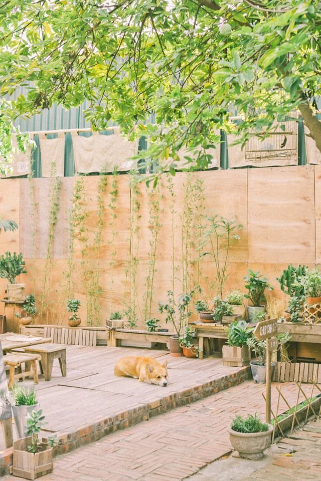 8X Việt biến khu vườn 20m2 thành điểm sống ảo khiến ai cùng muốn đến check-in - Hình 6