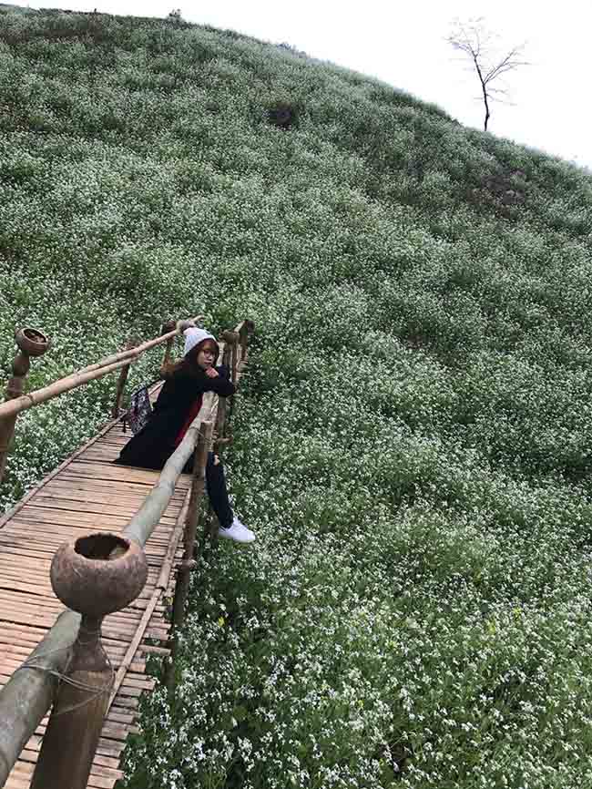 Sapa lạnh lắm, lên ngay Mộc Châu mùa đào, mận bung nở để thấy xứ thần tiên là có thật - Hình 4