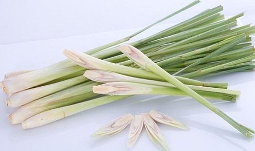 6 tác dụng đắt giá của cây sả với sức khỏe - Hình 1