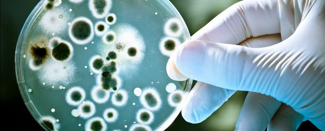 CDC Hoa Kỳ cảnh báo: Vi khuẩn ác mộng đang lan ra trên toàn nước Mỹ - Hình 1