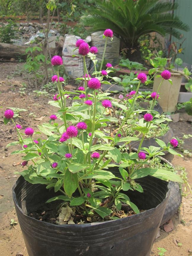 Hai lần chồng đưa gái lạ về nhà rồi xin tha thứ - Hình 3
