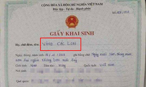 Ảnh Hài Hot Nhất Facebook Trong Ngày - Lạ Vui - Việt Giải Trí