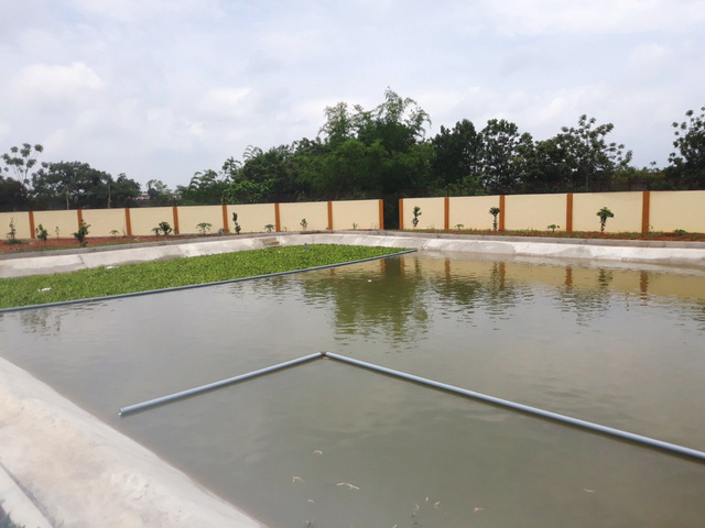 Cận cảnh biệt phủ trái phép của cán bộ công an huyện Vĩnh Lộc - Hình 7