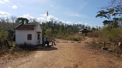 Lật xe chở gỗ lậu, 2 người đàn ông bị đè chết tại chỗ - Hình 5