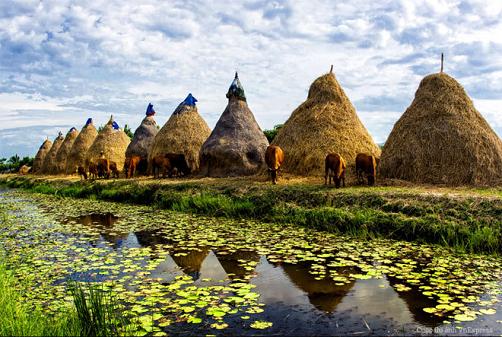 Phong cảnh đẹp thiên nhiên Việt Nam qua ống kính của nhiếp ảnh gia trong  cuộc thi ảnh - Du lịch - Việt Giải Trí