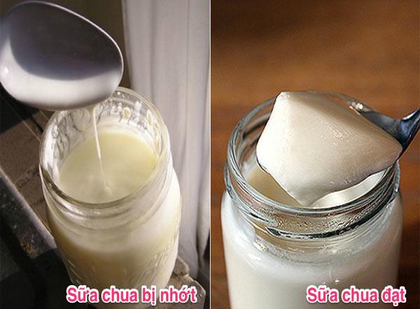 Cách làm sữa chua trắng, ngon, mịn như ngoài hàng từ nguyên liệu vô cùng đơn giản - Hình 4
