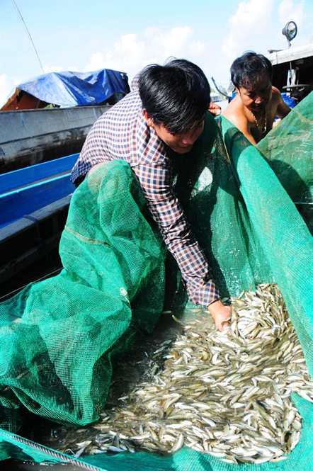 ĐBSCL: Dự báo có mùa lũ đẹp, mang theo tôm cá, sản vật - Hình 7
