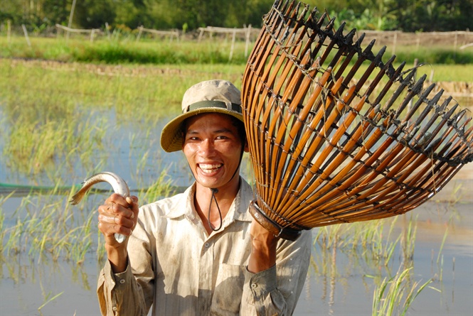 ĐBSCL: Dự báo có mùa lũ đẹp, mang theo tôm cá, sản vật - Hình 4