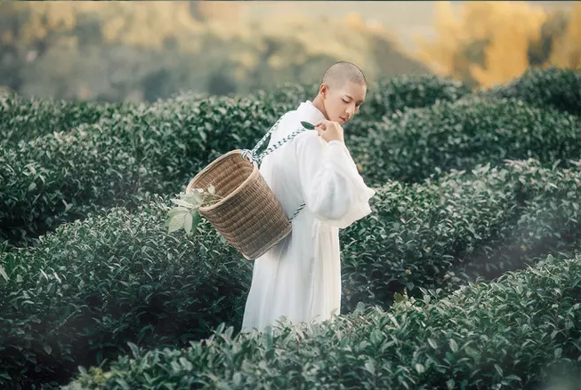 Hội chị em rụng trứng vì thầy tu đẹp trai - Hình 4