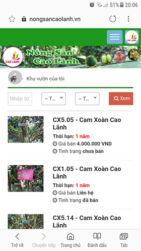 Thức thời bán cam trên mạng, dân Cao Lãnh thu bộn tiền - Hình 2