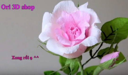 Những cách làm hoa hồng bằng giấy đẹp nhất - Hình 11