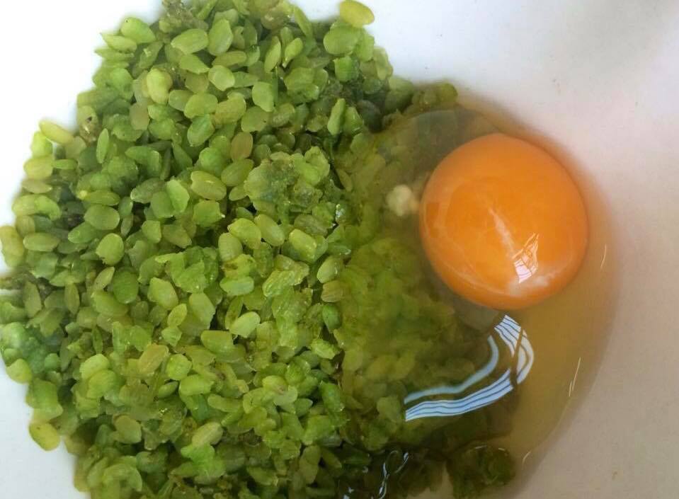 Đổi món với chả cốm tú lệ thơm ngon tròn vị - Hình 2