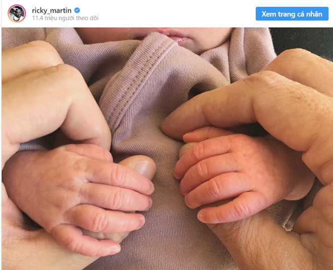 Danh ca Ricky Martin và bạn đời đồng tính có con gái - Hình 1