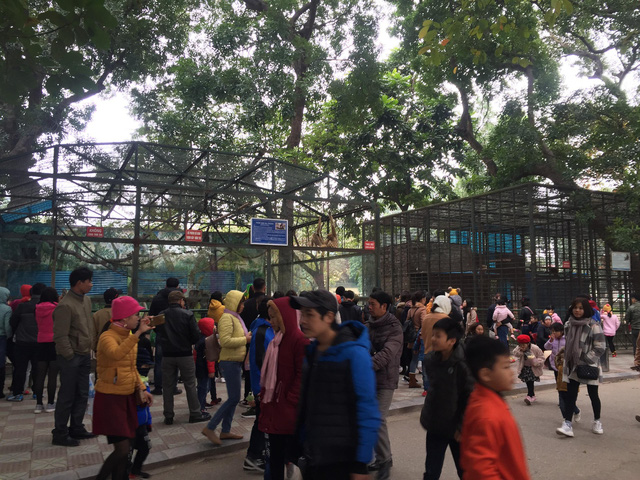 Hà Nội: Khu vui chơi đông đúc ngày nghỉ Tết Dương lịch - Hình 2
