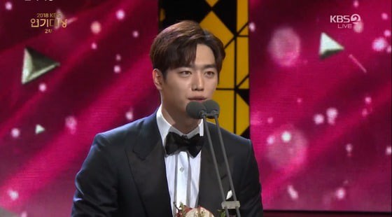 Kết quả trao giải hai đài danh giá xứ Hàn KBS và SBS Drama Awards 2018: Chán chả buồn nói! - Hình 22