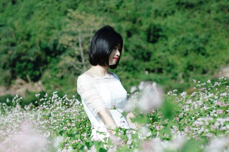 Lạc trôi giữa vườn tam giác mạch khoe sắc ở di sản Tràng An - Hình 11