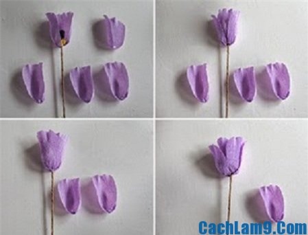 Cách làm hoa tulip bằng giấy nhún trang trí phòng đẹp - Hình 4
